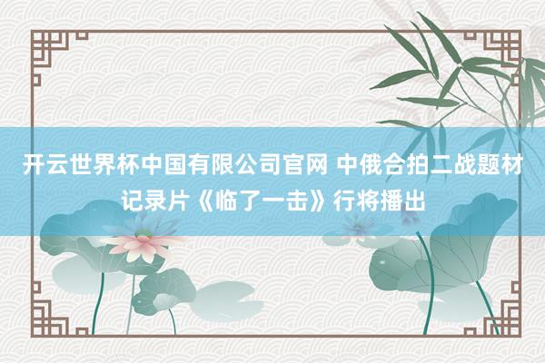 开云世界杯中国有限公司官网 中俄合拍二战题材记录片《临了一击》行将播出