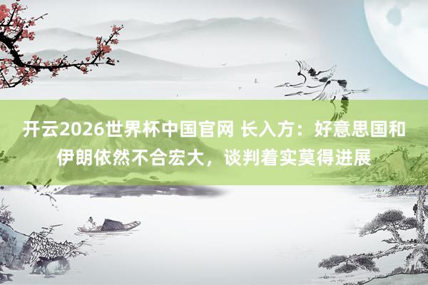 开云2026世界杯中国官网 长入方：好意思国和伊朗依然不合宏大，谈判着实莫得进展
