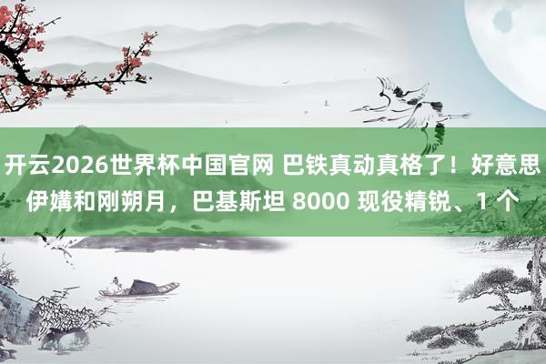 开云2026世界杯中国官网 巴铁真动真格了！好意思伊媾和刚朔月，巴基斯坦 8000 现役精锐、1 个