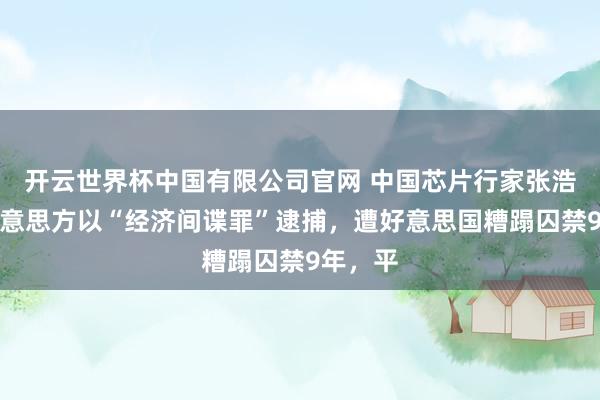 开云世界杯中国有限公司官网 中国芯片行家张浩，被好意思方以“经济间谍罪”逮捕，遭好意思国糟蹋囚禁9年，平