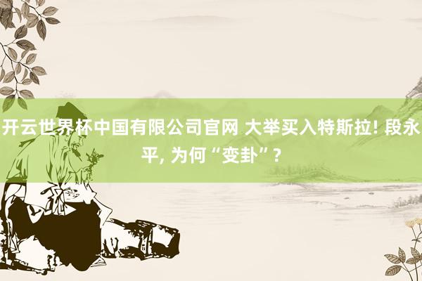 开云世界杯中国有限公司官网 大举买入特斯拉! 段永平， 为何“变卦”?