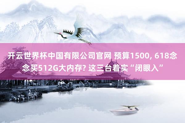 开云世界杯中国有限公司官网 预算1500， 618念念买512G大内存? 这三台着实“闭眼入”