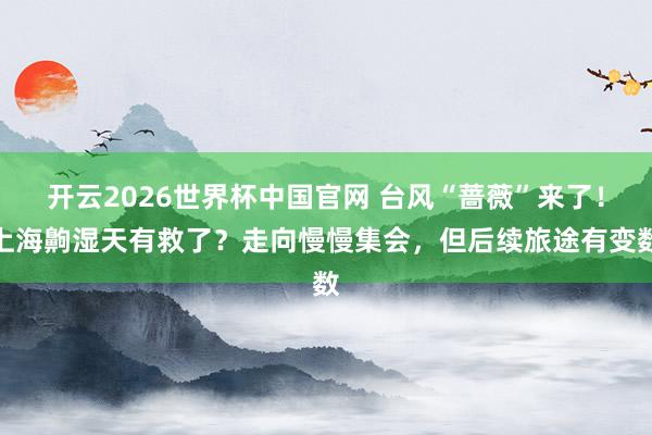 开云2026世界杯中国官网 台风“蔷薇”来了！上海齁湿天有救了？走向慢慢集会，但后续旅途有变数