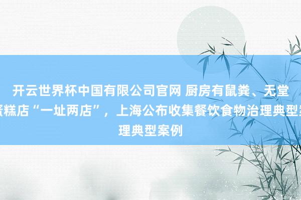 开云世界杯中国有限公司官网 厨房有鼠粪、无堂食蛋糕店“一址两店”，上海公布收集餐饮食物治理典型案例