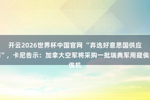 开云2026世界杯中国官网 “弃选好意思国供应商”，卡尼告示：加拿大空军将采购一批瑞典军用窥俟机