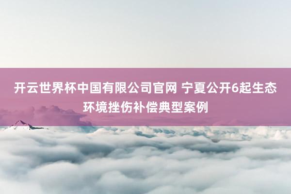开云世界杯中国有限公司官网 宁夏公开6起生态环境挫伤补偿典型案例