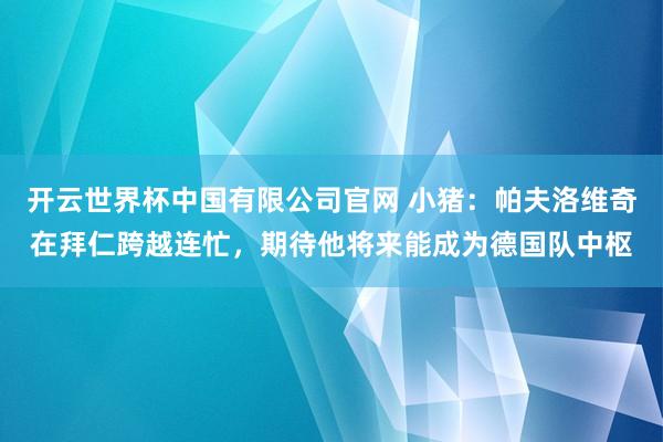 开云世界杯中国有限公司官网 小猪：帕夫洛维奇在拜仁跨越连忙，期待他将来能成为德国队中枢