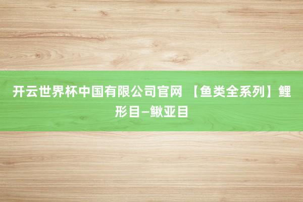 开云世界杯中国有限公司官网 【鱼类全系列】鲤形目—鳅亚目