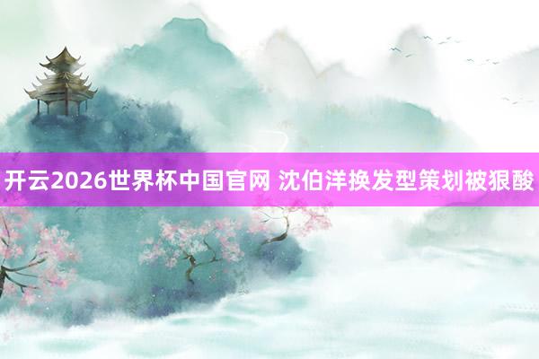 开云2026世界杯中国官网 沈伯洋换发型策划被狠酸