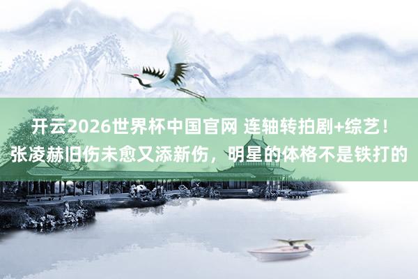 开云2026世界杯中国官网 连轴转拍剧+综艺！张凌赫旧伤未愈又添新伤，明星的体格不是铁打的