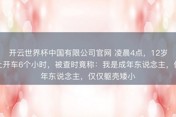 开云世界杯中国有限公司官网 凌晨4点，12岁男孩在高速上开车6个小时，被查时竟称：我是成年东说念主，仅仅躯壳矮小
